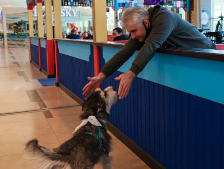 Krasnoyarsk volunteers and dog handlers help airport passengers overcome their fear of flying